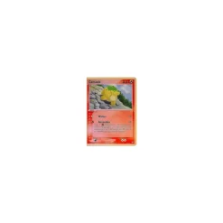 Camaub 70/97 REVERSE HOLO