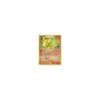 Camaub REVERSE HOLO