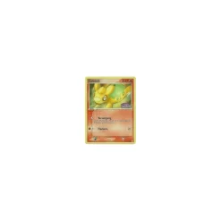 Camaub REVERSE HOLO