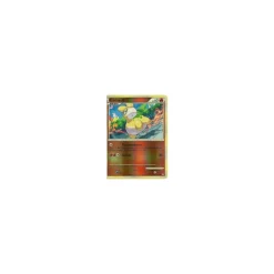 Camaub REVERSE HOLO