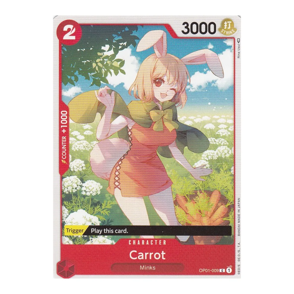 Carrot