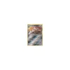 Cavalanzas 142/236 REVERSE HOLO