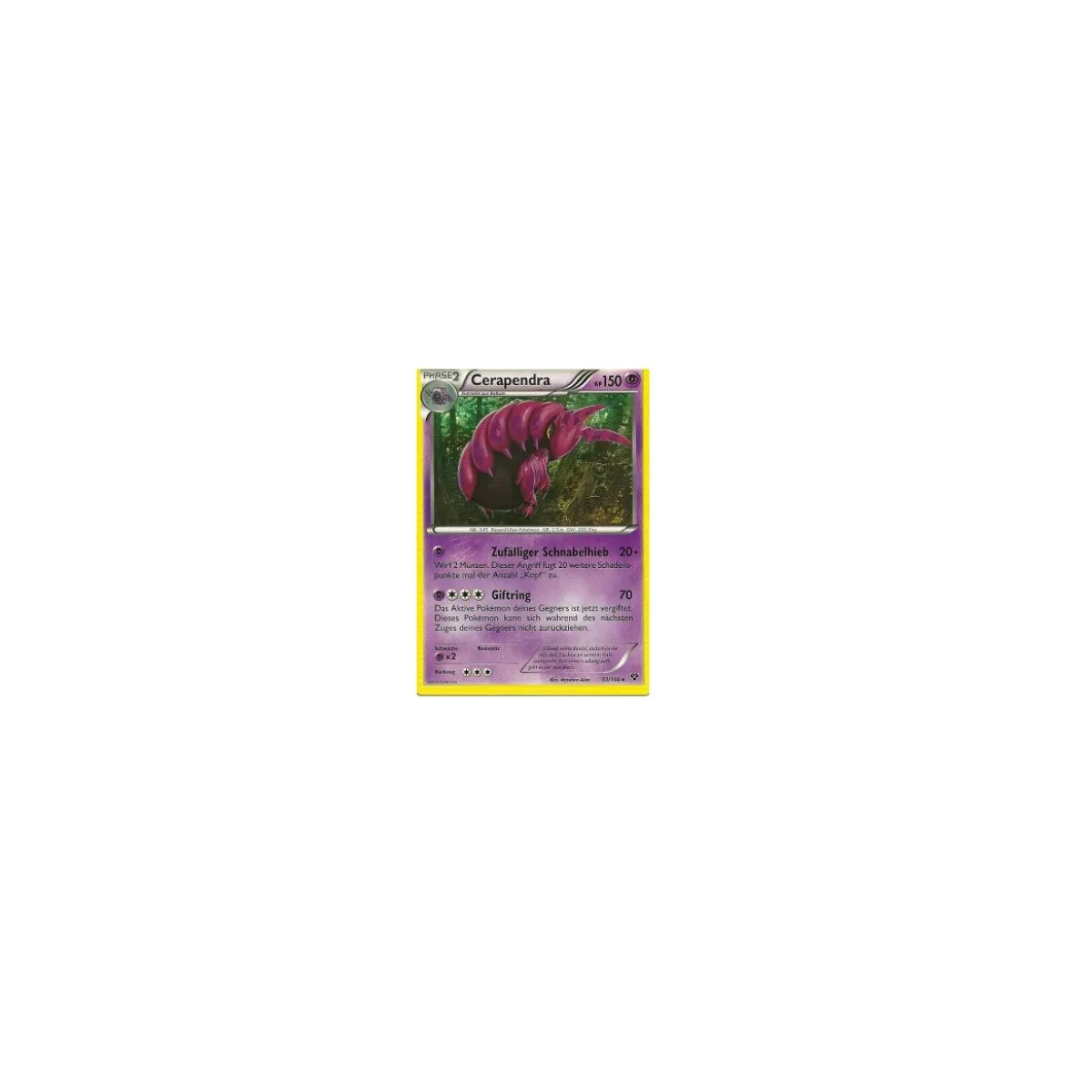 Cerapendra 053/146