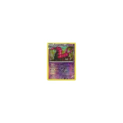 Cerapendra REVERSE HOLO