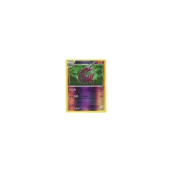 Cerapendra REVERSE HOLO