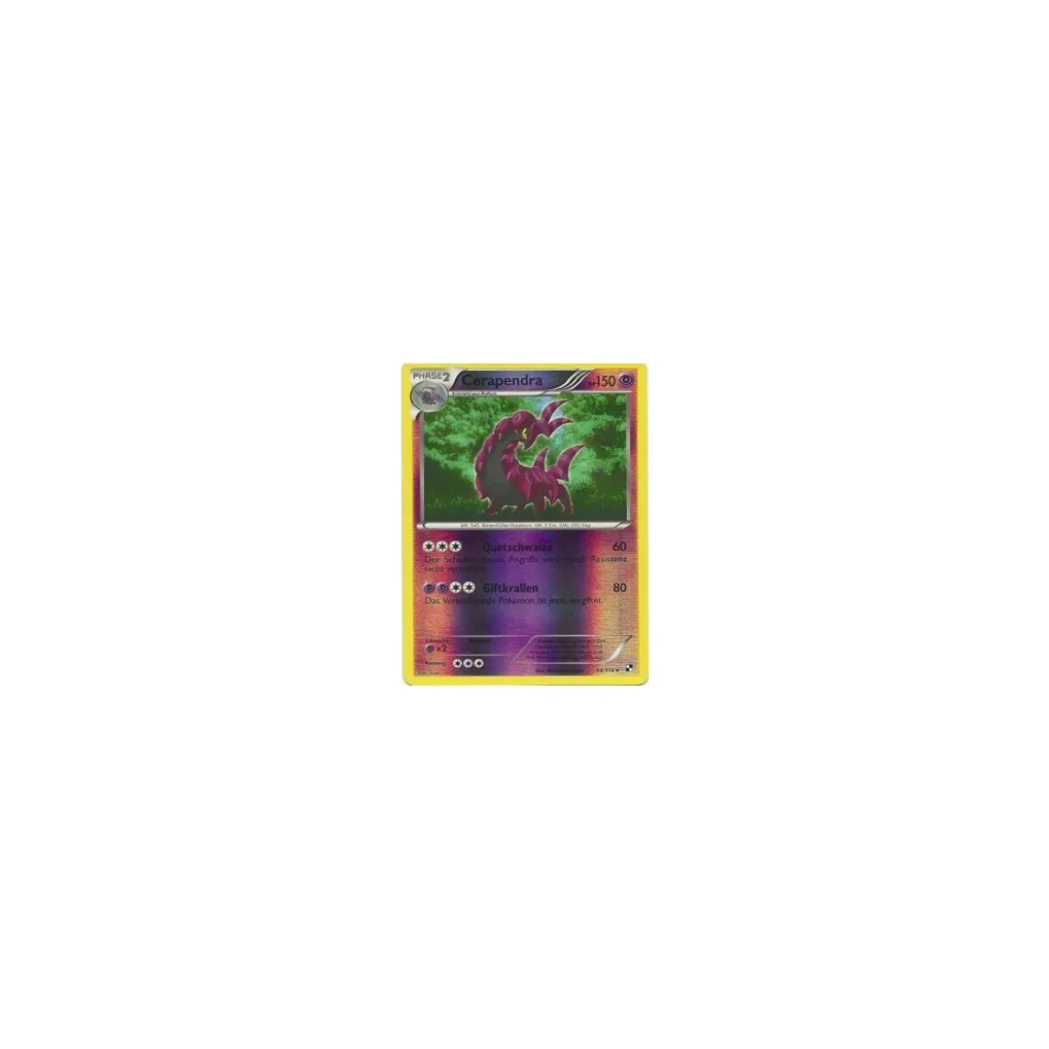 Cerapendra REVERSE HOLO