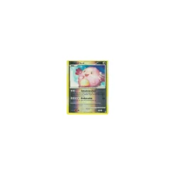 Chaneira REVERSE HOLO
