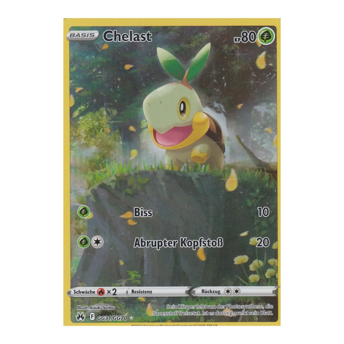 Chelast GG31/GG70 HOLO