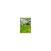 Chelast 001/135 REVERSE HOLO