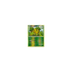 Chelcarain REVERSE HOLO