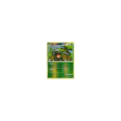 Chelterrar REVERSE HOLO