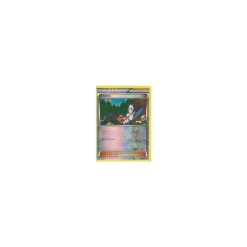Cheren 091/108 REVERSE HOLO