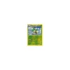 Chevrumm 019/146 REVERSE HOLO