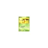 Chikorita