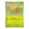 Cottini 010/142