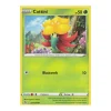 Cottini 024/264