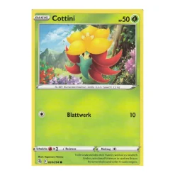 Cottini 024/264