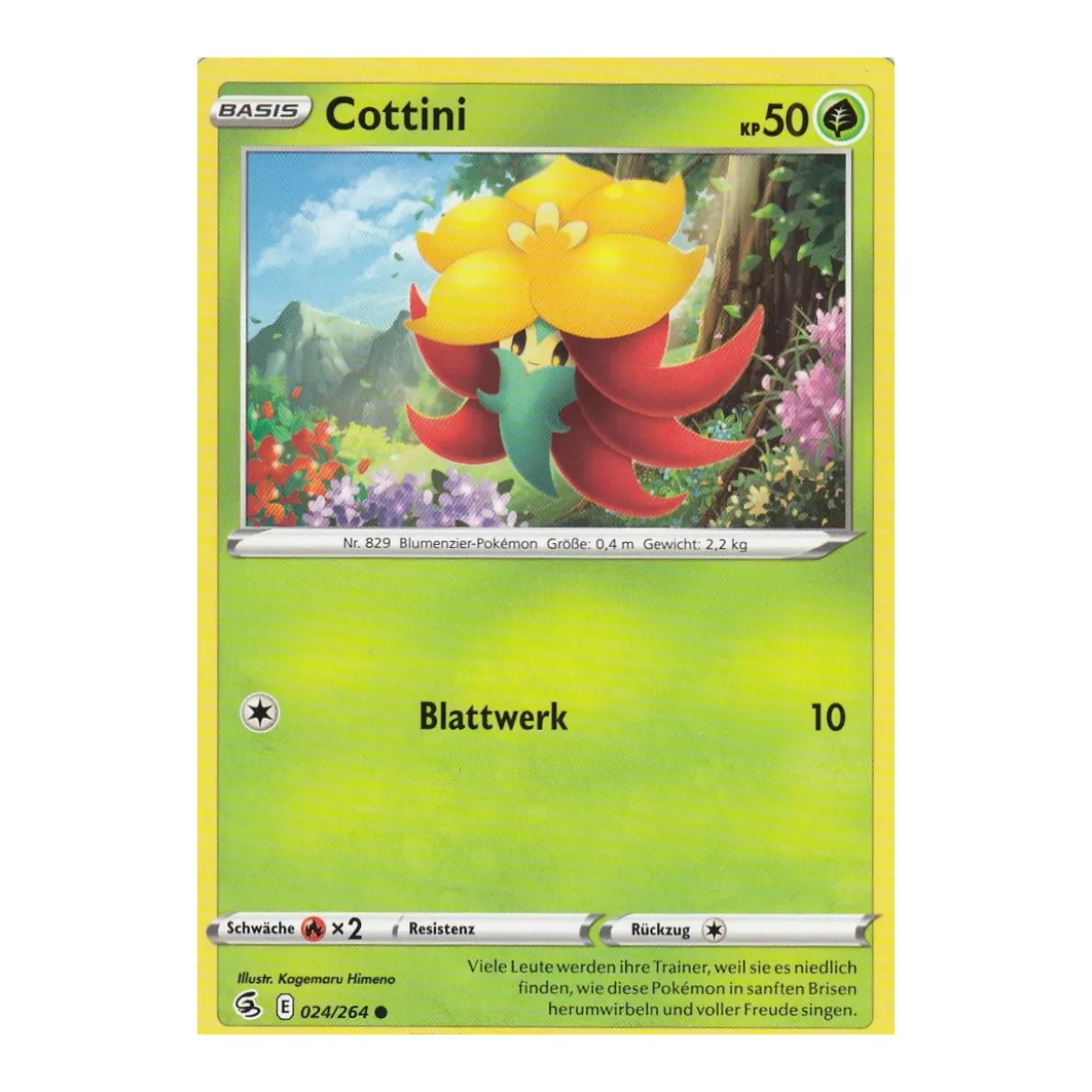 Cottini 024/264