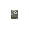 Dark Dragonair 31/109