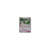 Deoxys ex HOLO