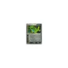 Despotar ex HOLO