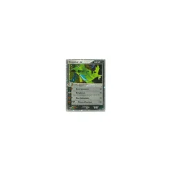 Despotar ex HOLO