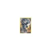 Dialga XY77 HOLO