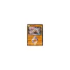 Diancie-Prisma 074/131 HOLO