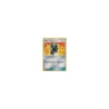 Dicke Polster 136/181 REVERSE HOLO