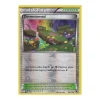 Dimensionstal 093/119 REVERSE HOLO