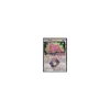 Ditto-Prisma 154/214 HOLO (bespielt)