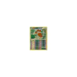 Dodri REVERSE HOLO