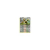 Dodri 100/135 REVERSE HOLO