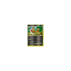 Dodri REVERSE HOLO