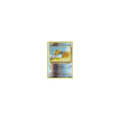 Dodu 069/108 REVERSE HOLO
