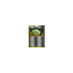 Domfossil REVERSE HOLO