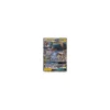 Donarion-GX 045/145 HOLO