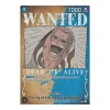 Donquixote Doflamingo WANTED