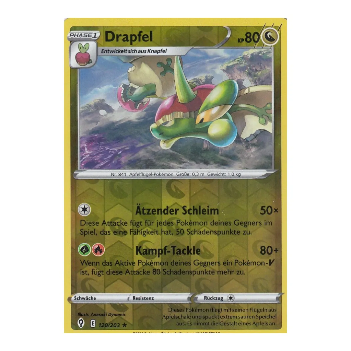 Drapfel 120/203 REVERSE HOLO