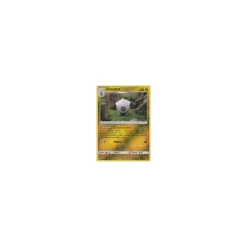 Draschel 43/70 REVERSE HOLO