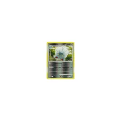 Draschel REVERSE HOLO