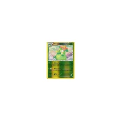 Dressella REVERSE HOLO