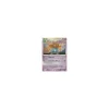 Duflor Lv.24 097/146