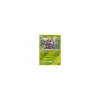 Duflor 007/214 REVERSE HOLO