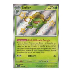 Duflor 093/091 Shiny