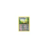 Dummisel 111/149 REVERSE HOLO
