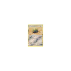 Dummisel 110/168 REVERSE HOLO