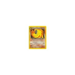 Dunkles Igelavar 039/105