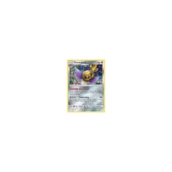 Durengard 109/181 HOLO