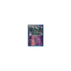 Echnatoll 057/116 REVERSE HOLO